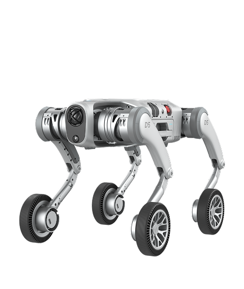 PUDU D5-W
